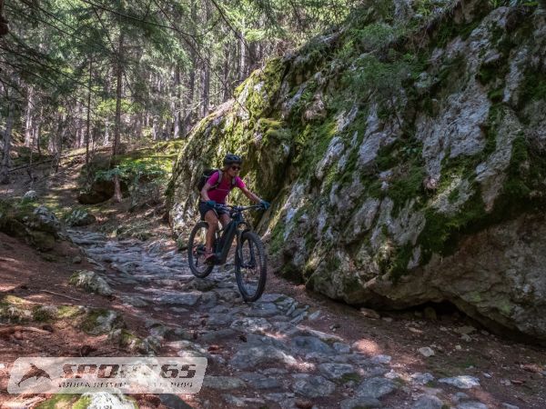 Alta Rezia E-Bike Trail Flow