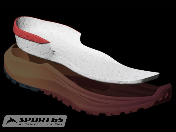Tecnica AGATE S GTX Fast Hiking shoe, lillac/light grey