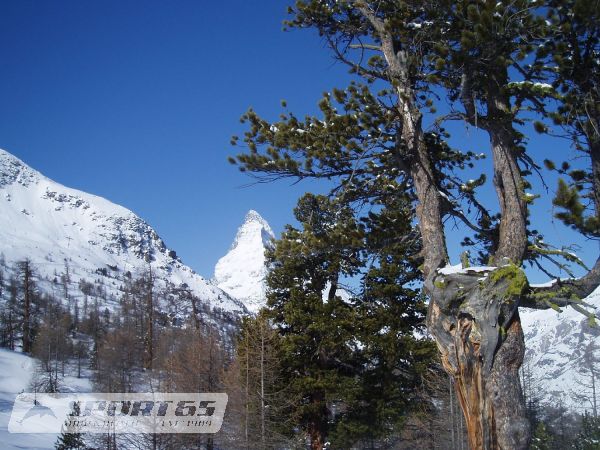 Ferdisch! Cervina-Zermatt Quicky
