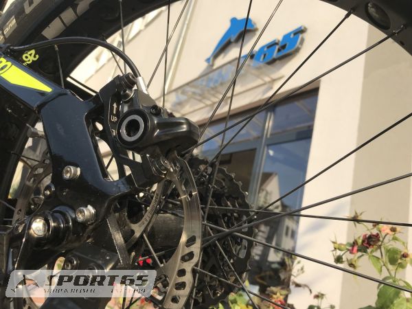 Customized Sport65 High Performance 3D bike show inlays