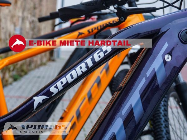 Sport65 E-Bike Rental Hardtail