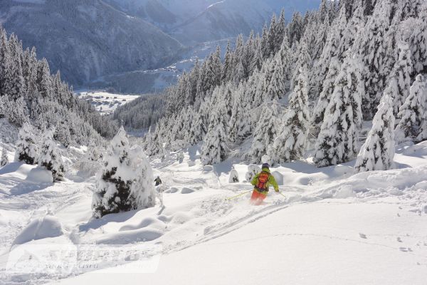 Follow the Snow! Best of Graubünden 3 Königsfreeridecamp