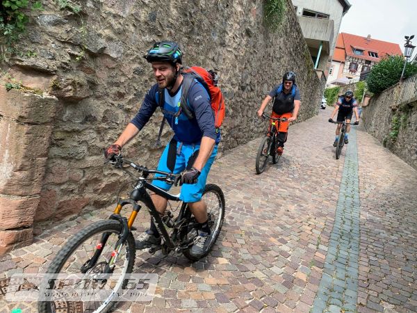 Mountainbike Trails und Technik Odenwald Royale