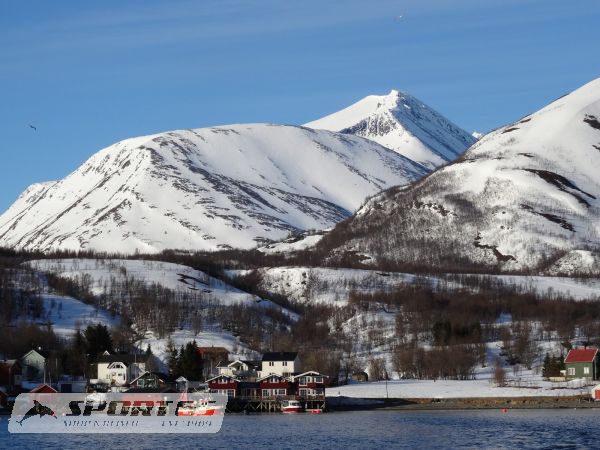 Lyngen Alps Tromsø Skitouring Week I