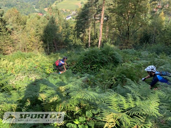 Mountainbike Sommer Trailsafari Nibelungen II